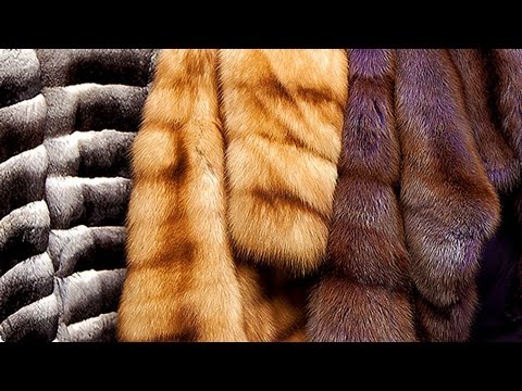 How to clean a mink coat at home