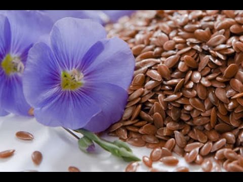 Flaxseed - benefits and harms, how to take with ulcers and diabetes