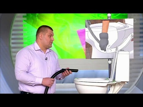 How to clean a clog in the toilet at home