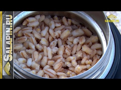 How to cook barley in water quickly, without soaking, in a slow cooker