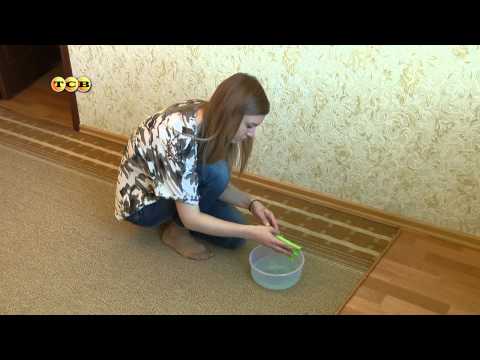 Hogyan tisztítsa meg otthon a szőnyeget gyorsan és hatékonyan