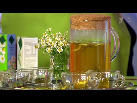 Chamomile grass - medicinal properties and contraindications