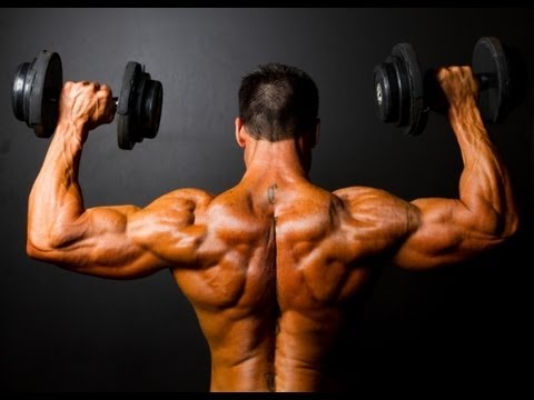 How to build shoulders - effective exercises and video tips