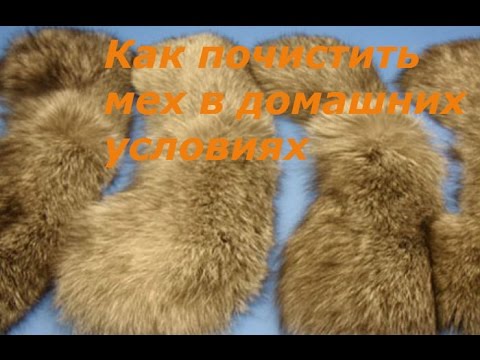 How to clean fur at home