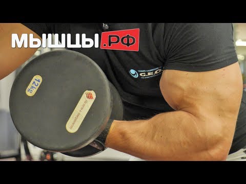 How to build muscle at home - training program