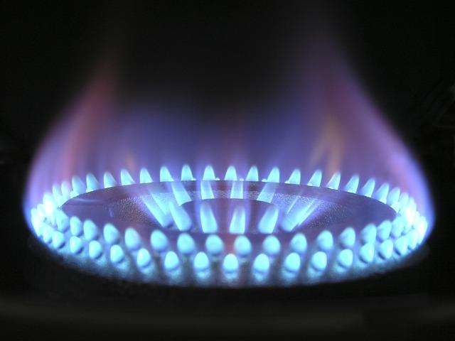 Gas oven flame