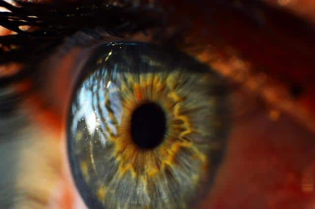 Close-up photo of an eye