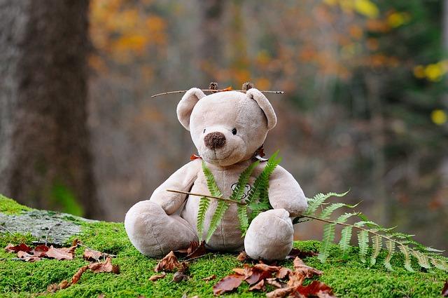 Teddy bear in the forest