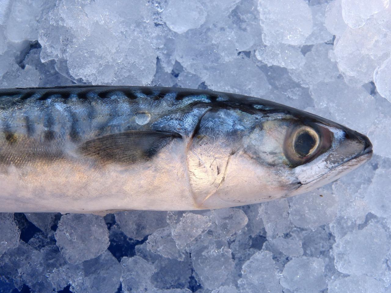 Photo of salted mackerel at home