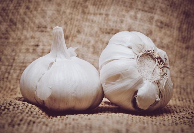 Garlic bulbs on the table