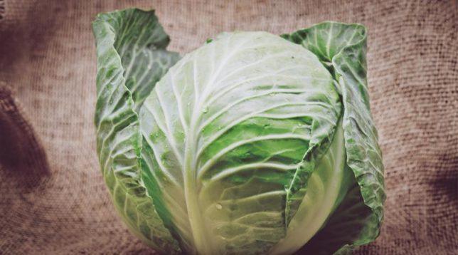 Photo of a fresh cabbage swing