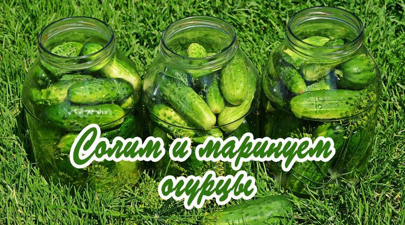 How to pickle and pickle cucumbers for the winter in banks