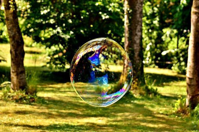 Soap bubble in the forest