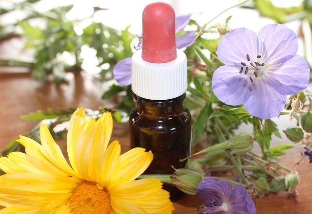 Essential oils and plants on the table